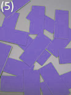 geschnitten in 16 adhäsive Chips Stoff einlagig kaschiert* auf starkem Papier (Chipgröße 4,5 cm x 2,0 cm) 20,50 €(Netto), 24,40 €(Brutto) 